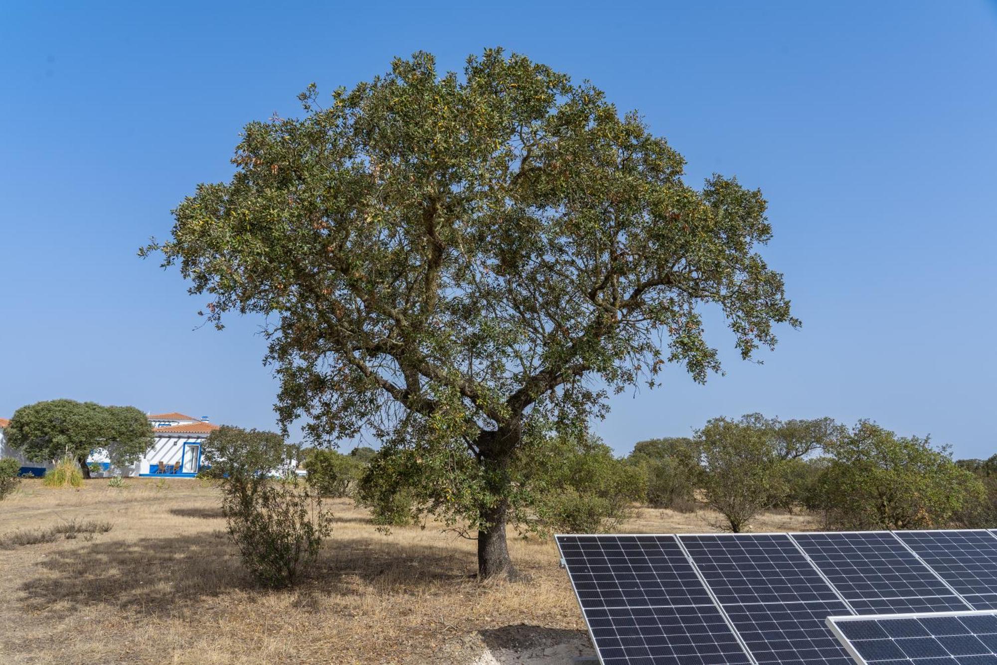 Change The World - Herdade Monte Do Peral Montes Juntos Luaran gambar
