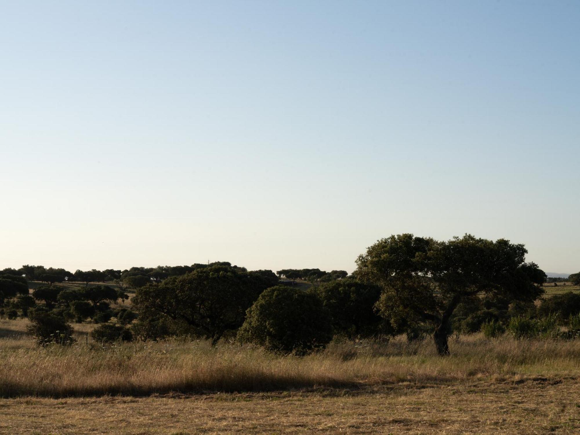 Change The World - Herdade Monte Do Peral Montes Juntos Luaran gambar