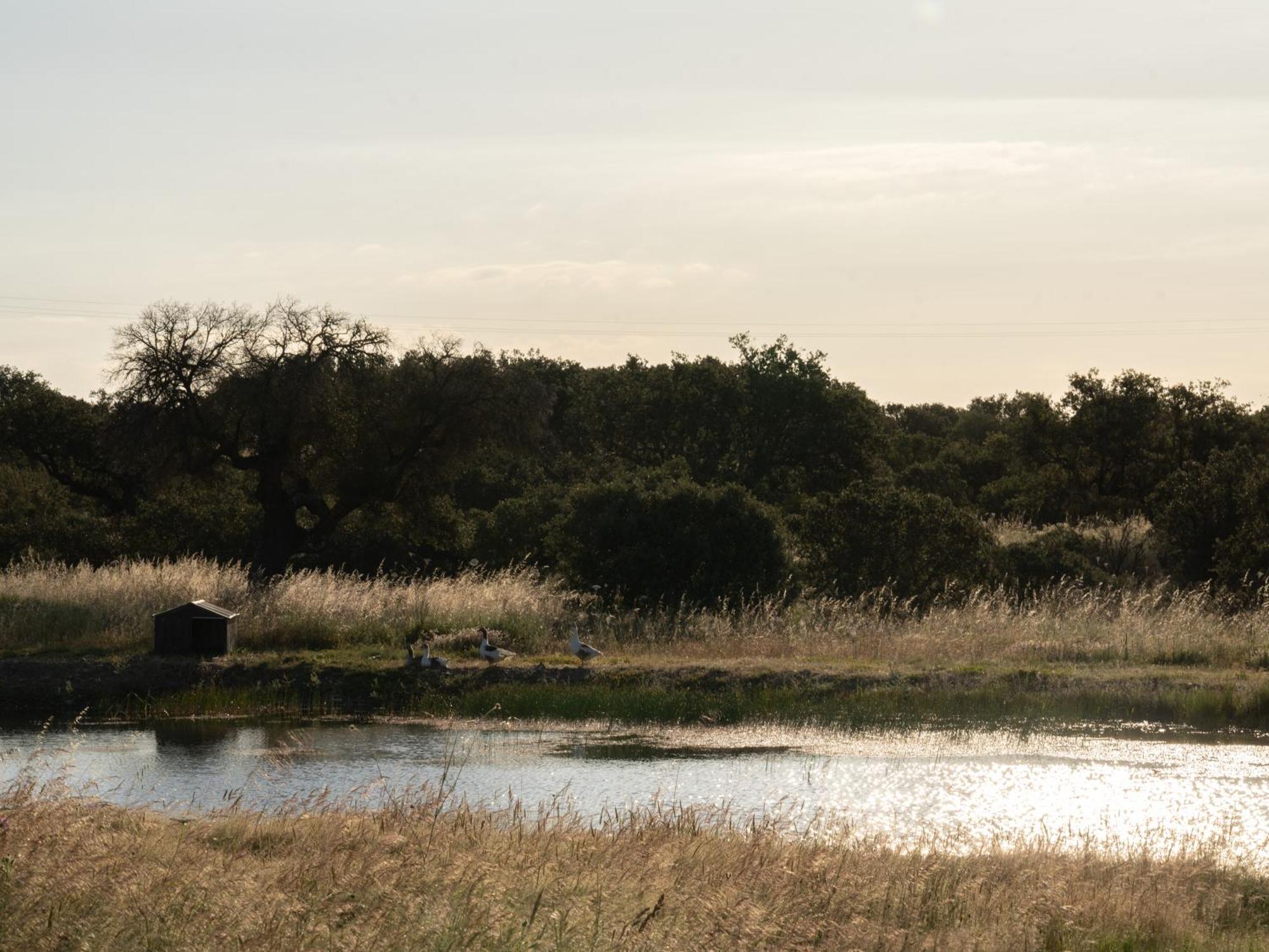 Change The World - Herdade Monte Do Peral Montes Juntos Luaran gambar
